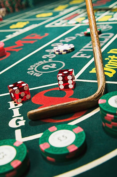 Multiple live-dealer table streams on wow777 platform